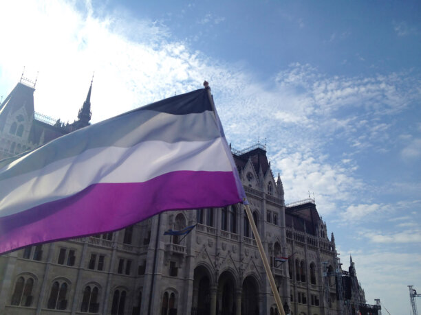 Asexual flag flown in front of the Hungarian Parliament