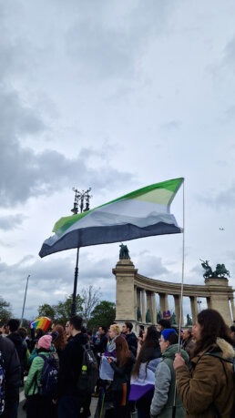 A felvonulók beszédet hallgatnak a budapesti Hősök terén. Az előtérben egy felvonuló egy aromantikus zászlót emel a magasba.