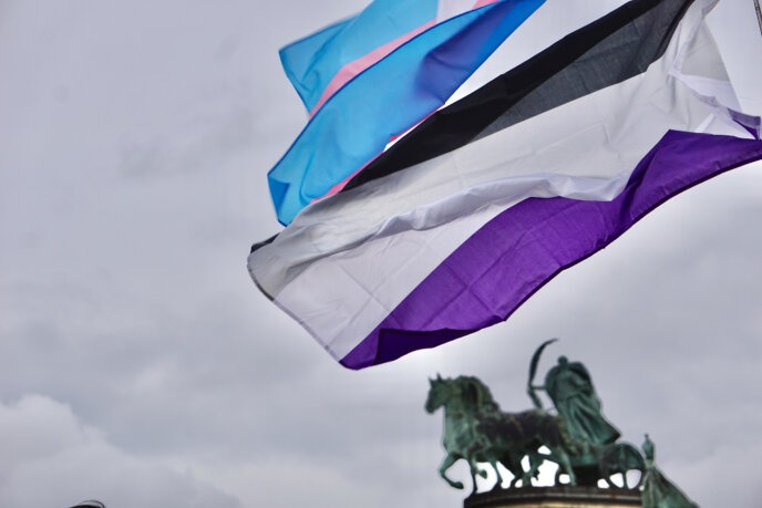 Transz- és aszexuális zászlók lengenek a szélben, a háttérben a budapesti Hősök tere lovasszobraival.