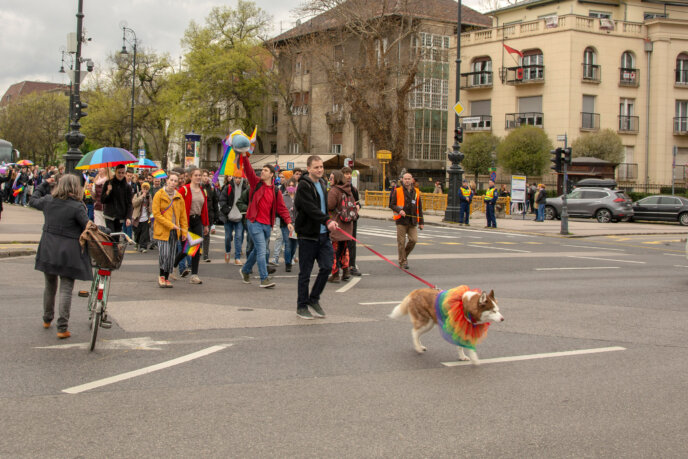 A felvonuló menet egy Budapesti úton. A menet elején egy szivárványos ruhát viselő kutya sétál. Mögötte valaki egy Pride zászlót viselő plüss cápát tart a magasba.