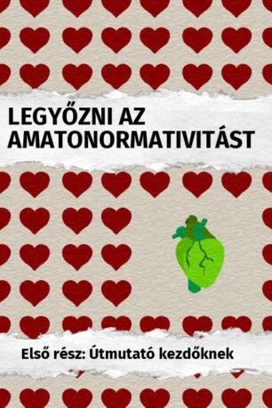 A "Legyőzni az amatonormativitást - Első rész: Útmutató kezdőknek" füzet borítója